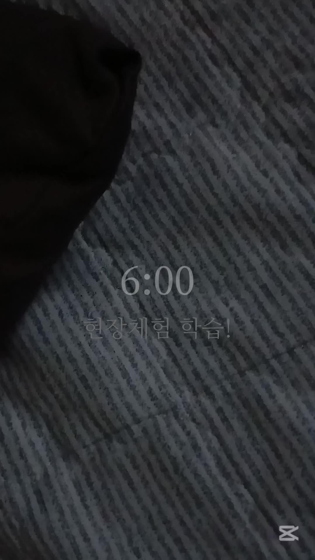 @호랭이🐯
