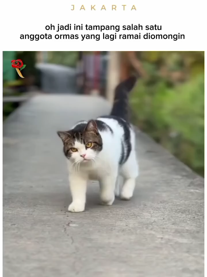 @Toko Bunga Kusumasari