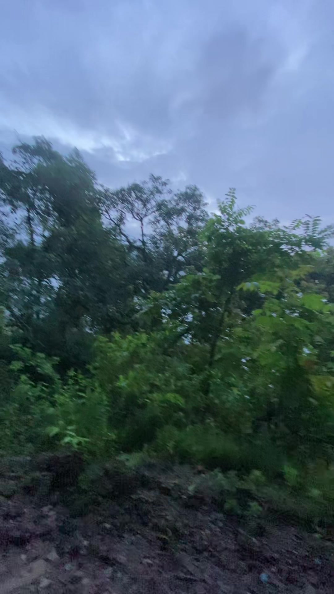 @थानेश्वर ज्ञवाली