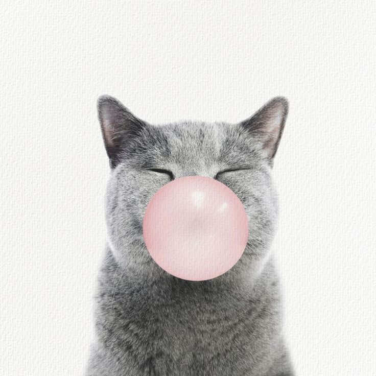@mel