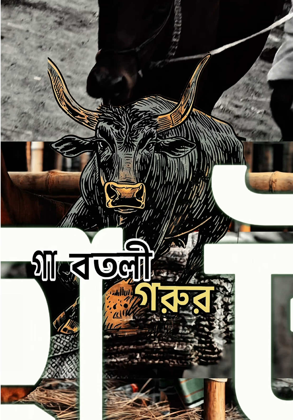@Marjia Oni🇧🇩
