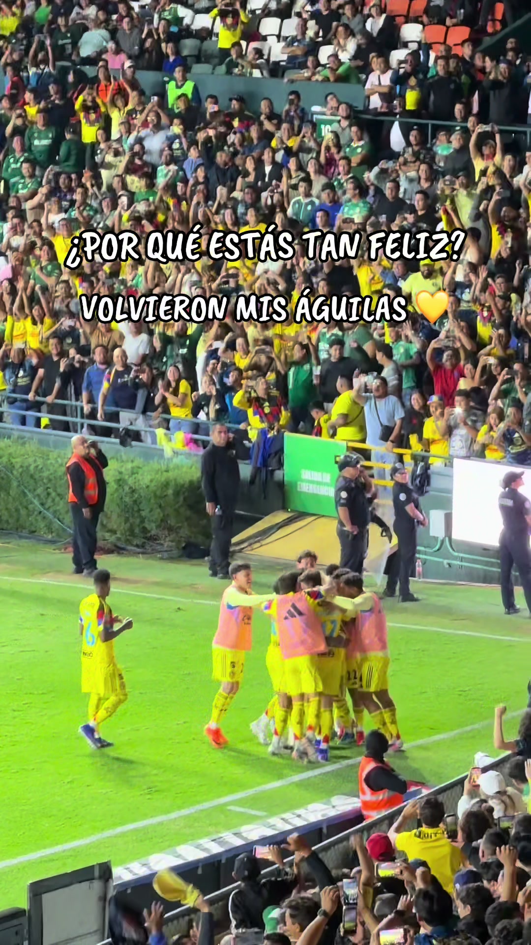 @Dinastía Águila