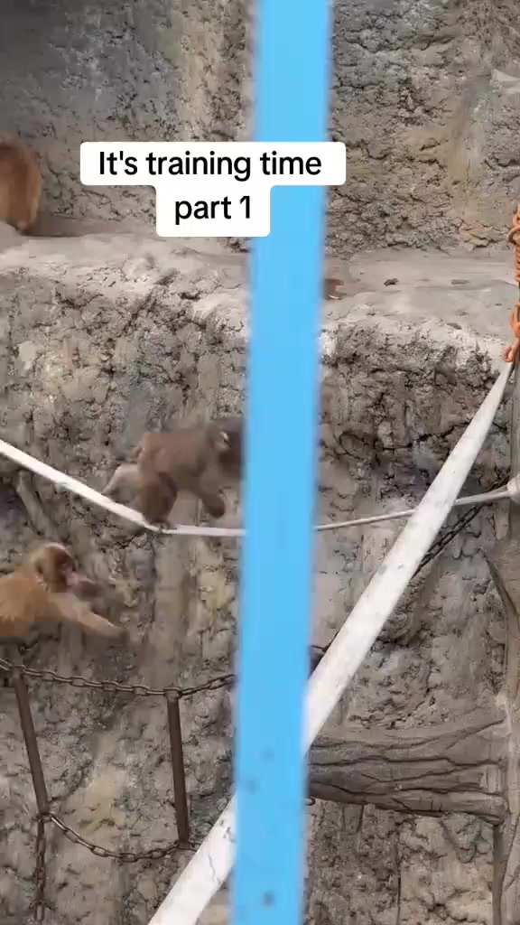 @Mochi/Rusty