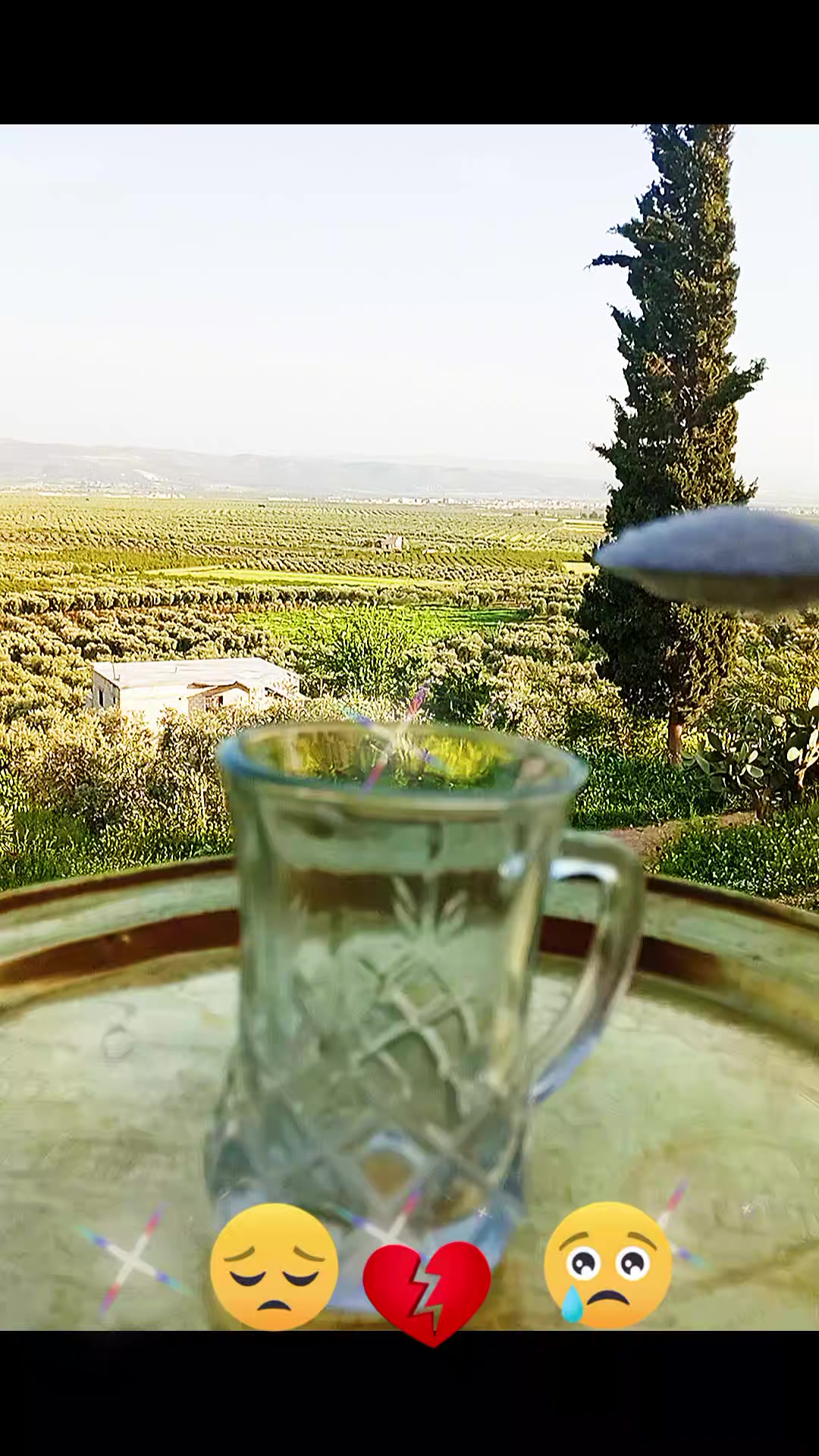 @رونيارا عفريني