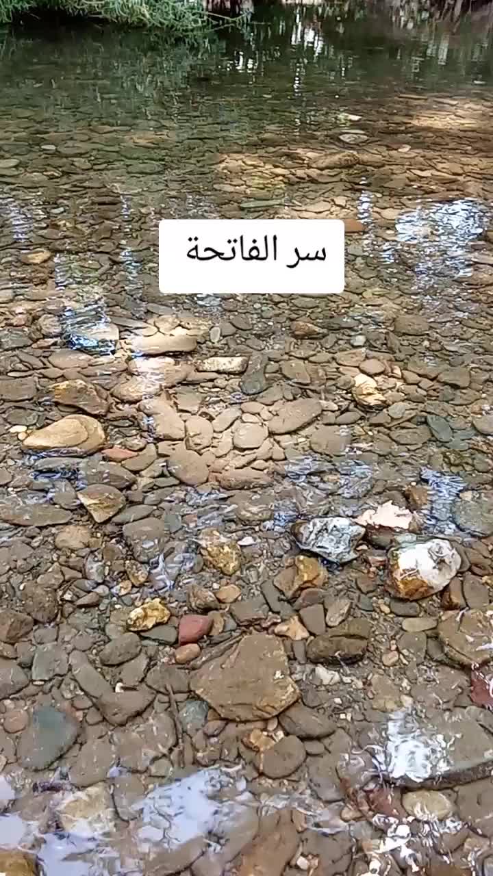 @jasmin Mirage