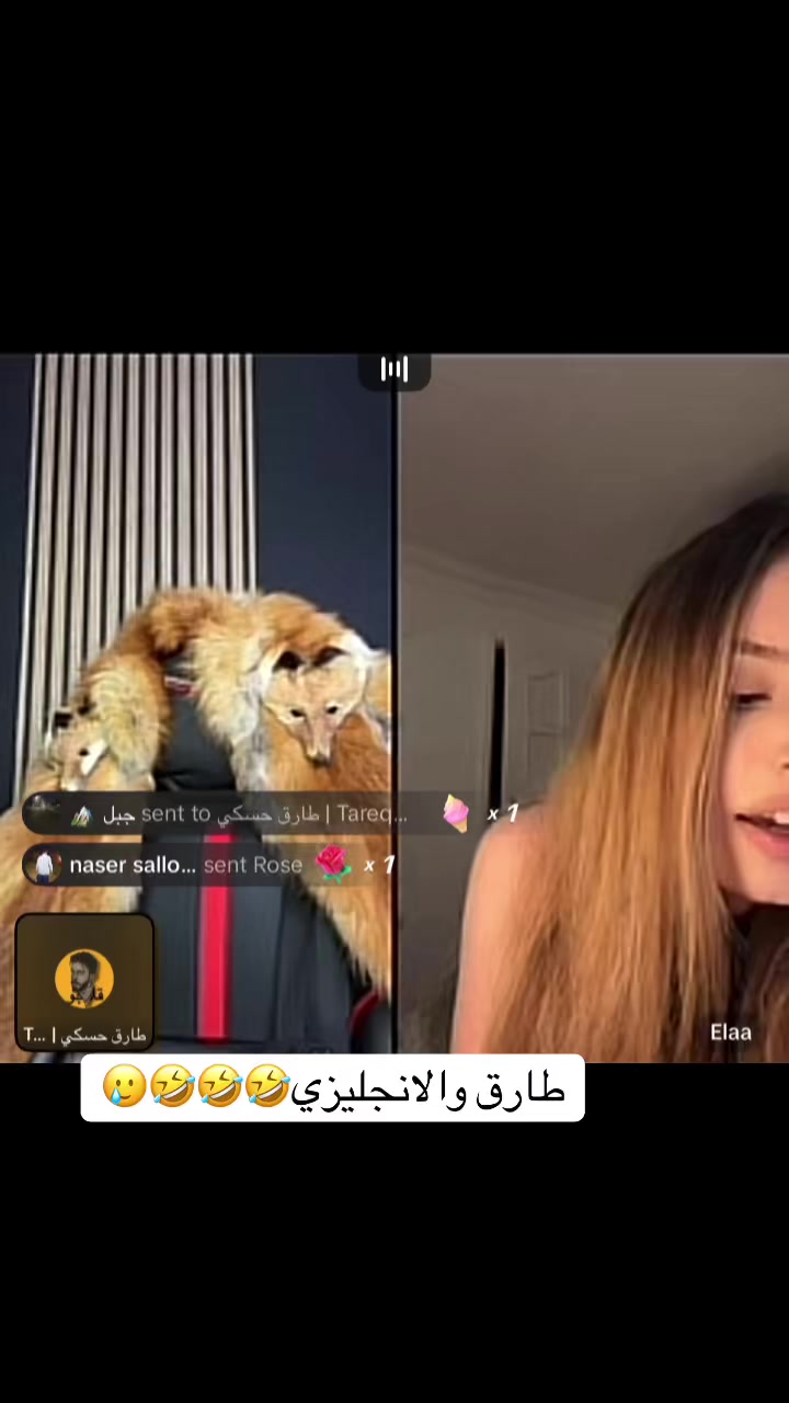 @🤍🦂𝓡𝓞𝓩𝓐 || رُوزاَ