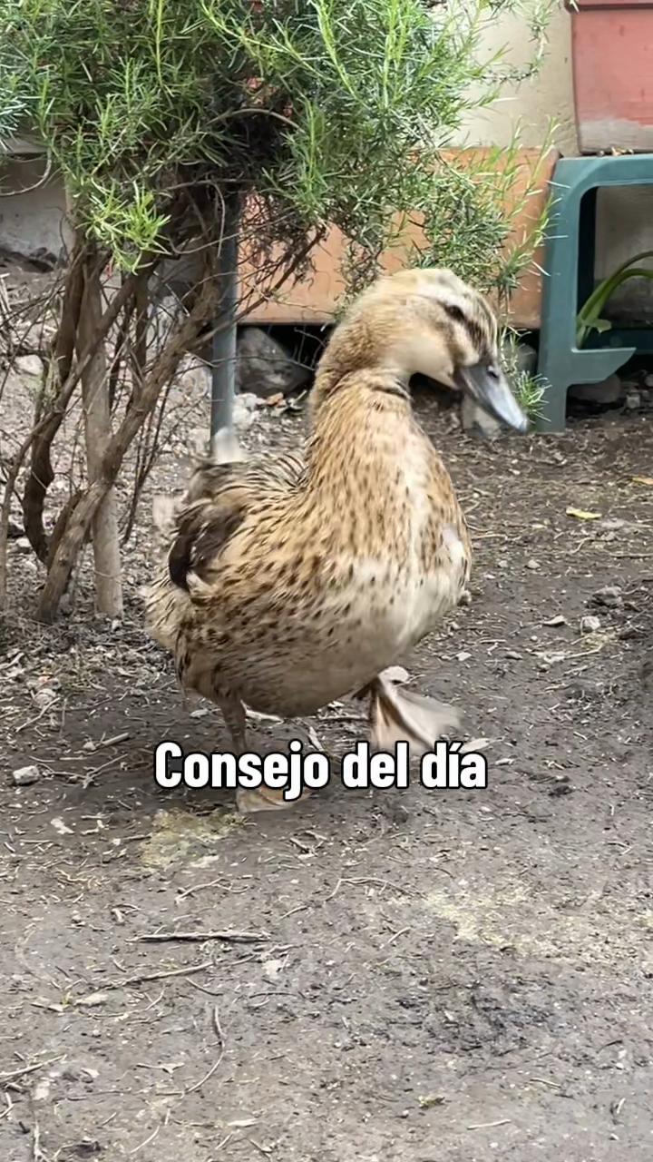 @Abel 🧃