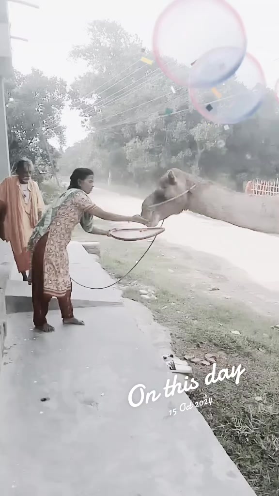 @Anita Gupta