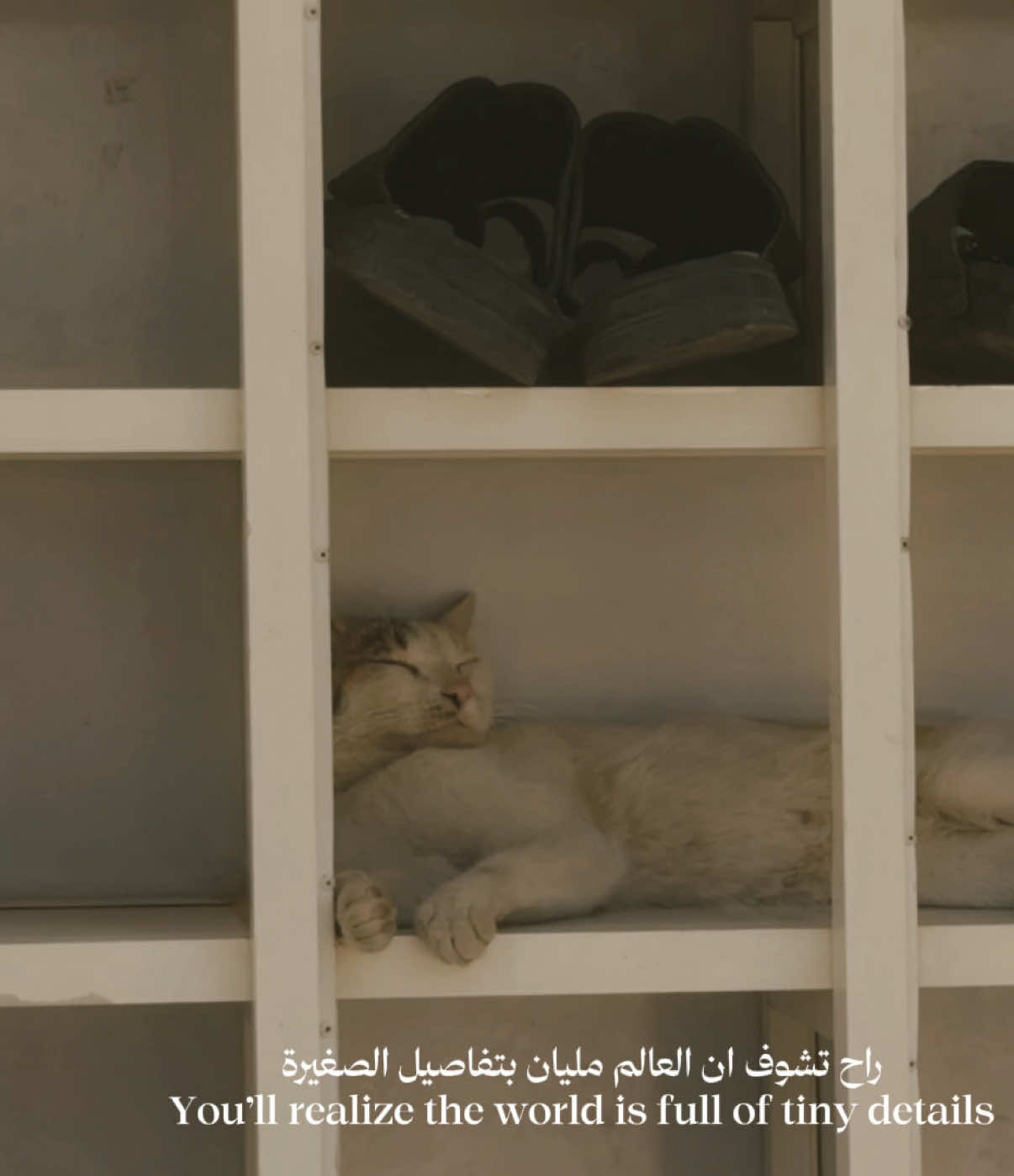 @عبدالإله