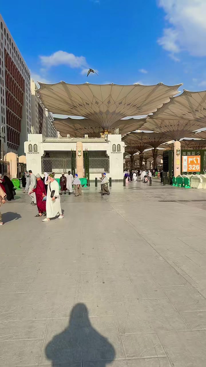 @afzaal bajwa