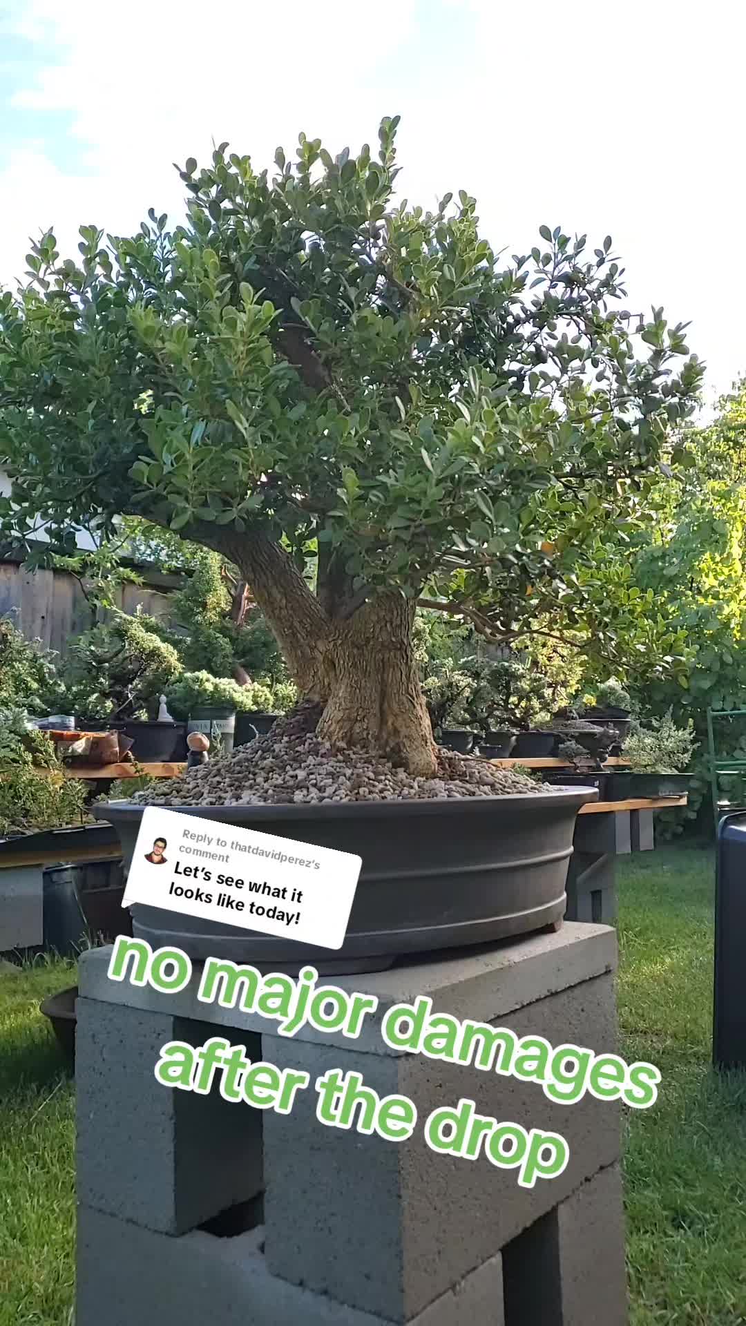 @BetaRayBill
