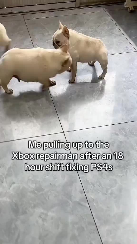 @MisterRobo