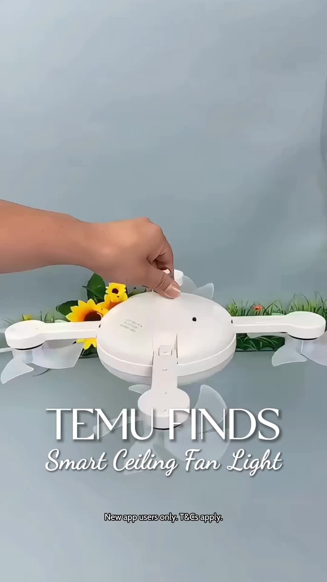 @mucindyfinds