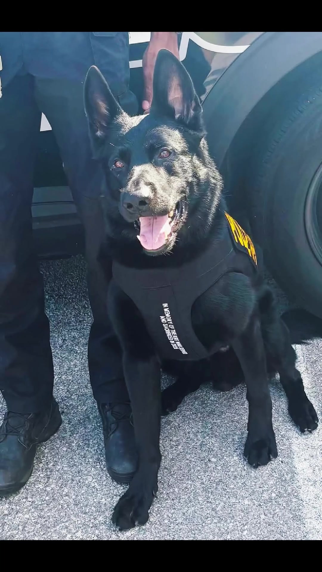 @Vested Interest in K9s, Inc.