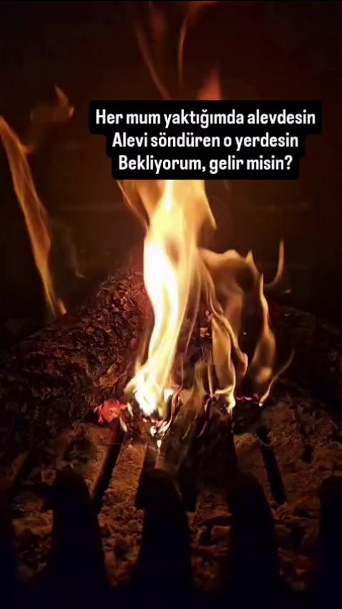 @Demet Tan KARABELA@