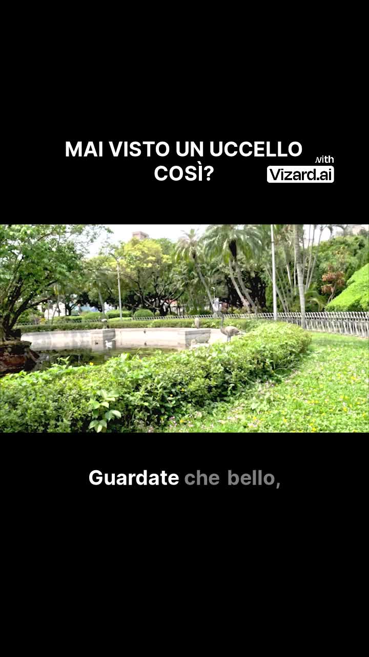 @FaccioComeMiPare