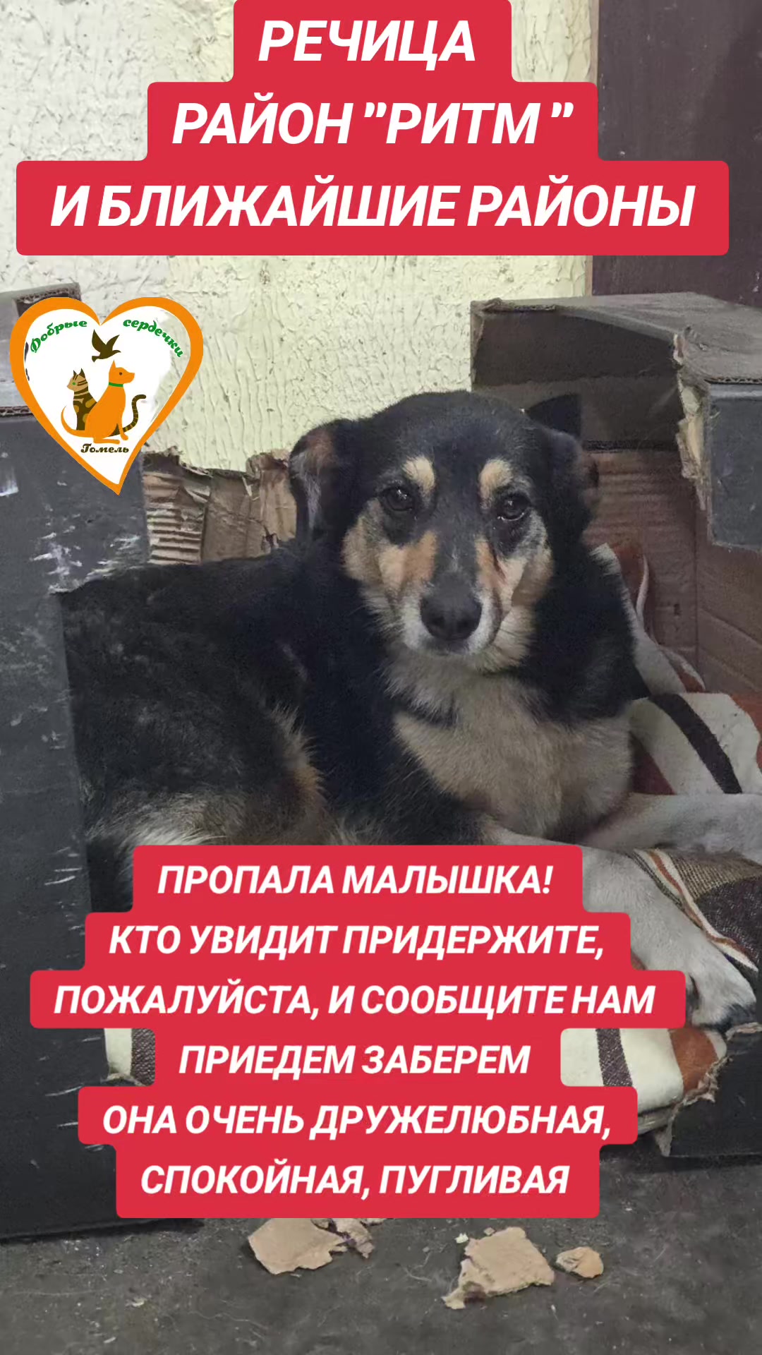 @Марина