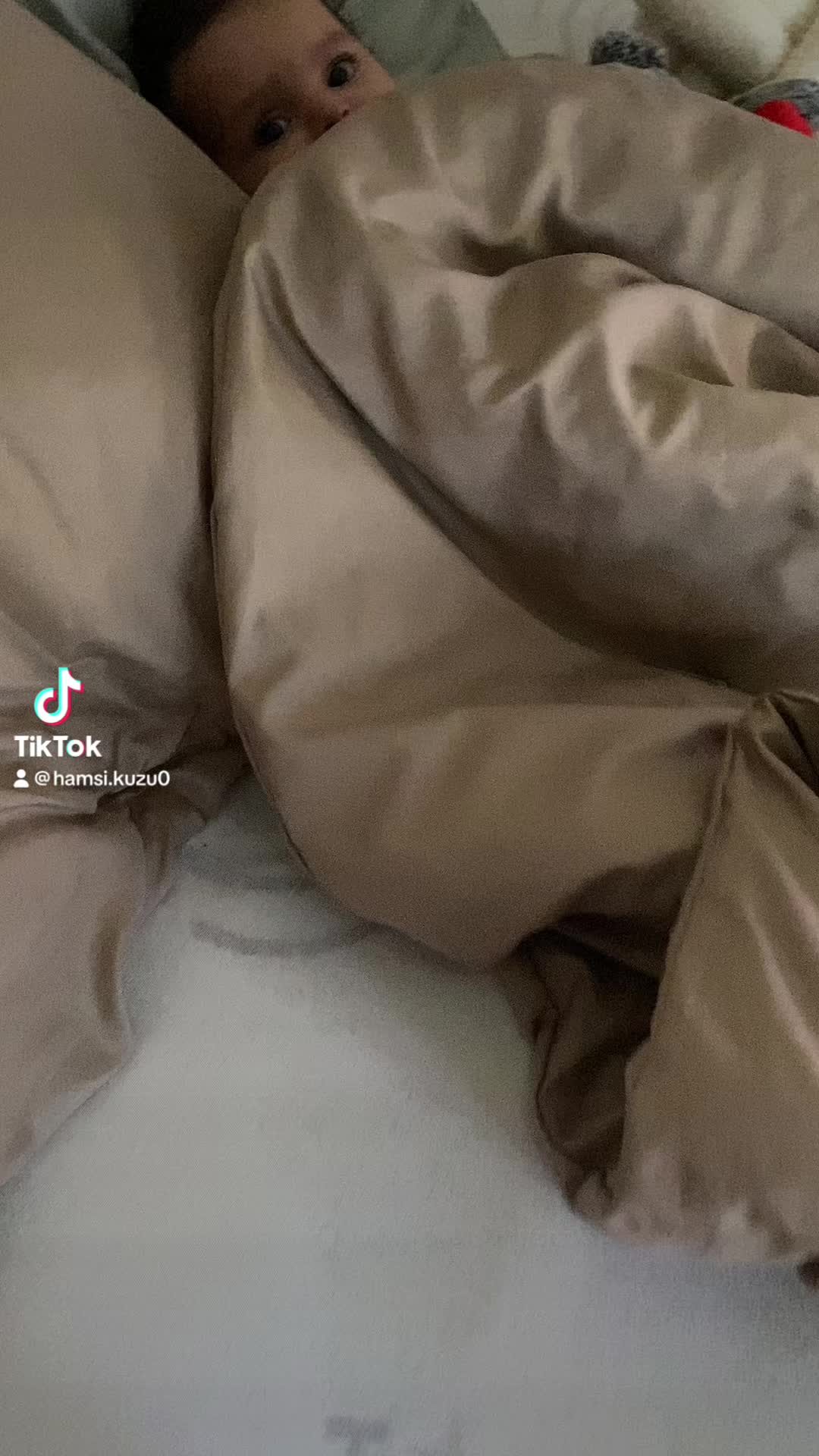 @Hamsi.kuzu