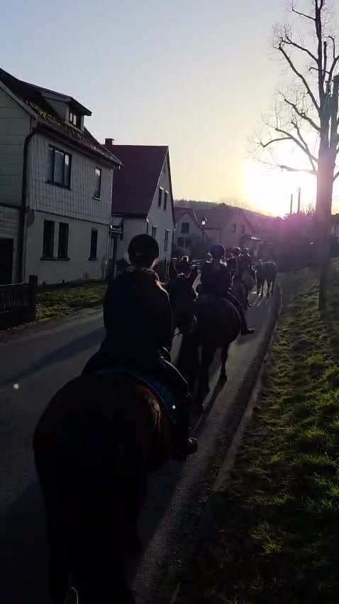 @Reitstall Freiberg