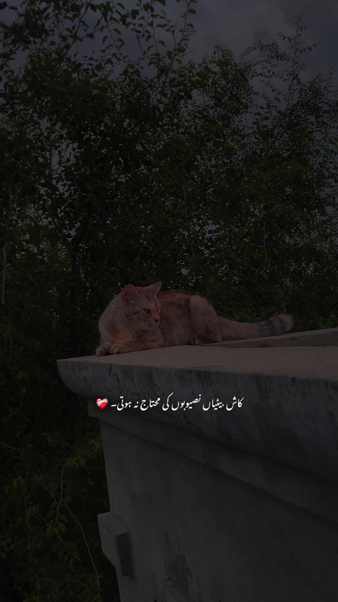 @𝙏𝙖𝙡𝙝𝙖 𝟐🫀❤️🩹