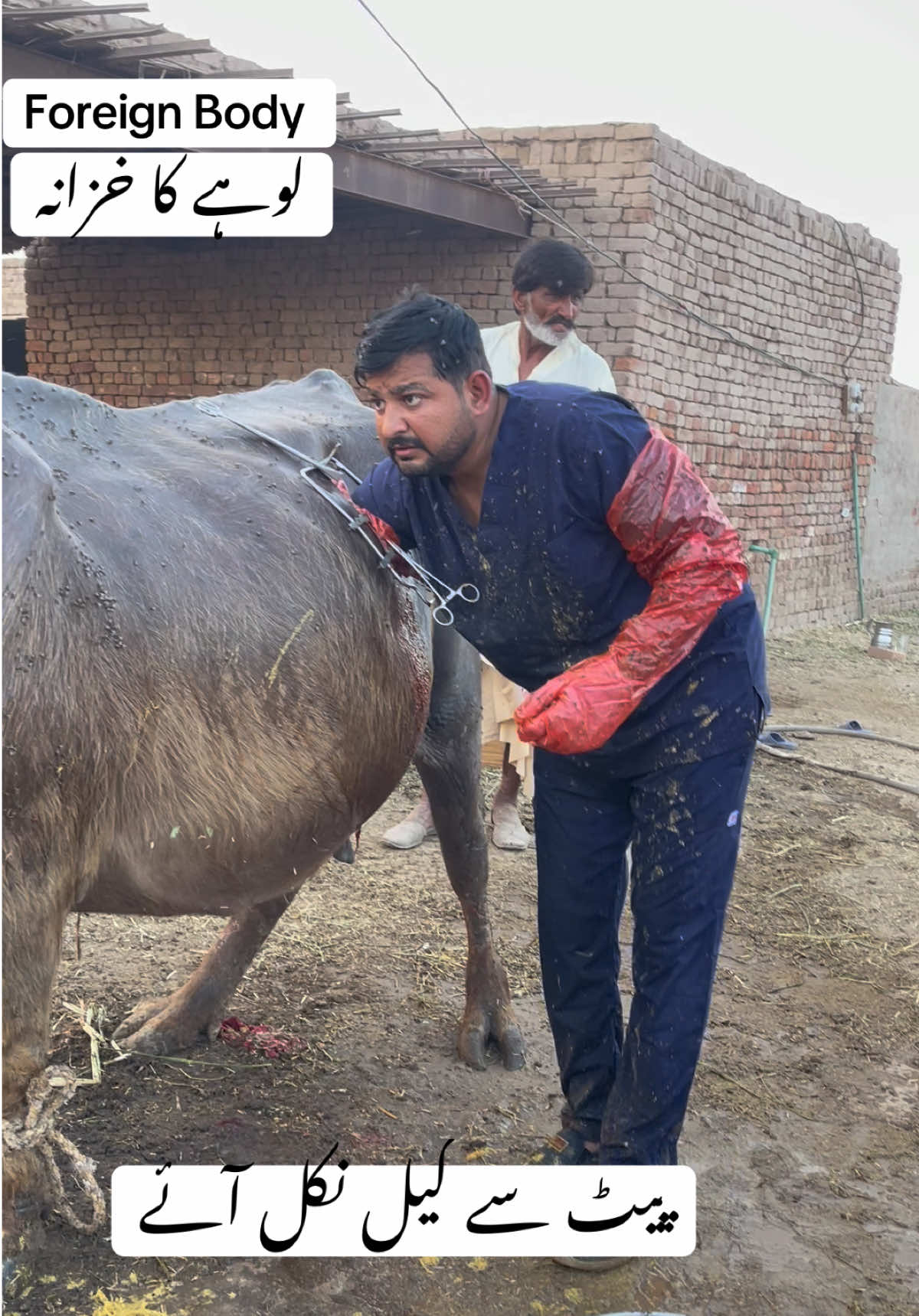 @vet.dr.mohsin4800