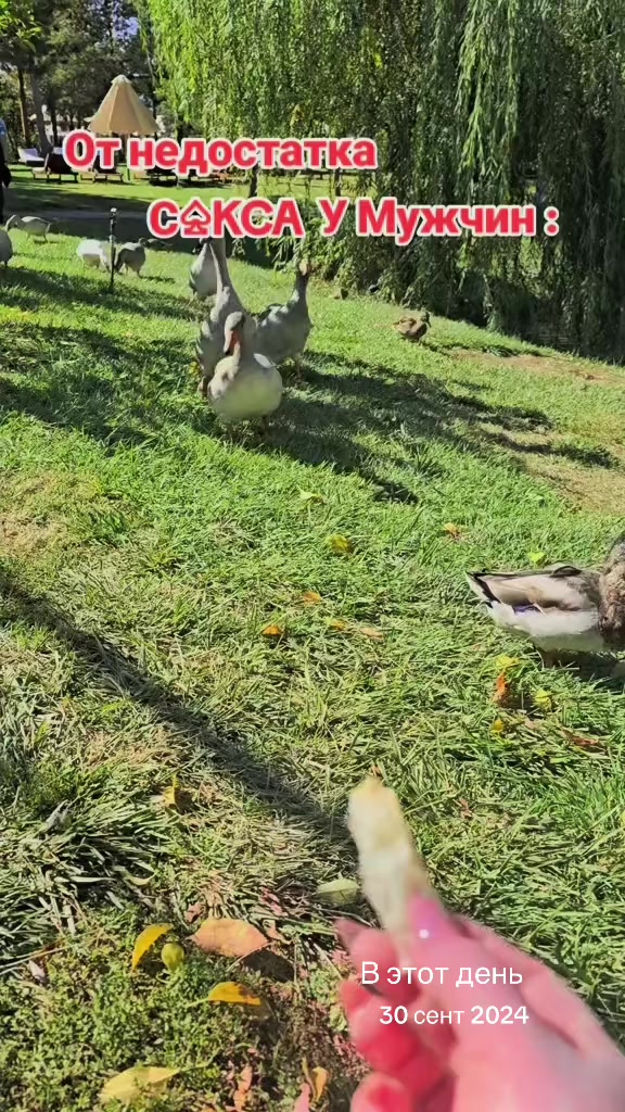 @✨💫всеЛЕНАя💫✨