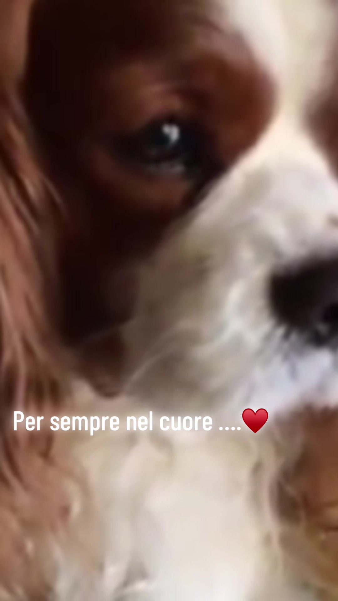 @MillyM.