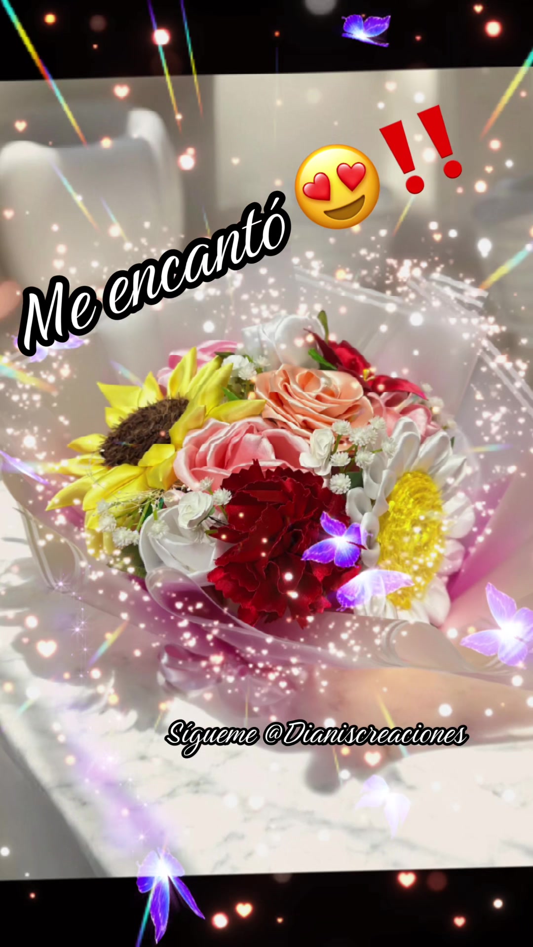 @Dianiscreaciones