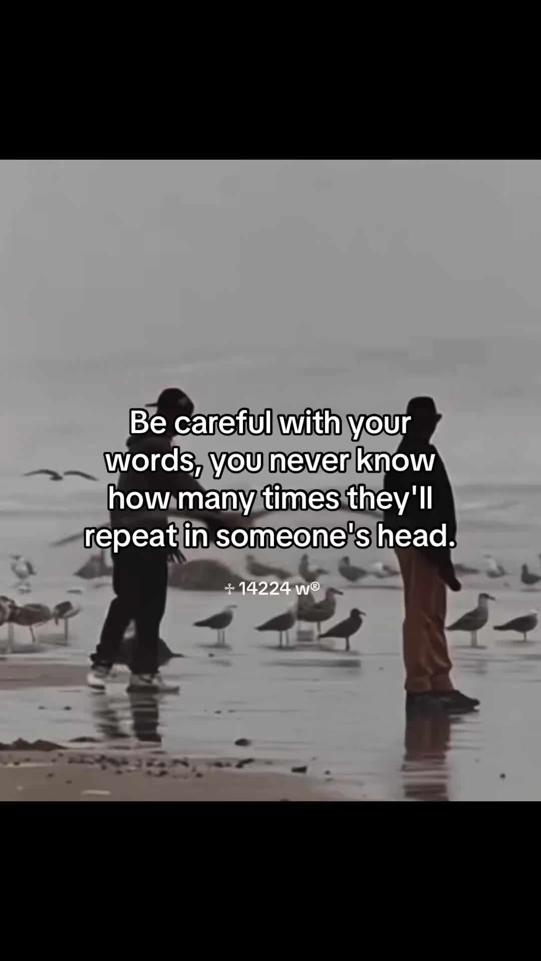 @♱ 14224 w&reg;