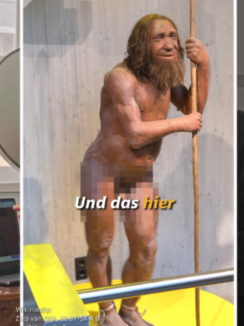 @Niklas Kolorz