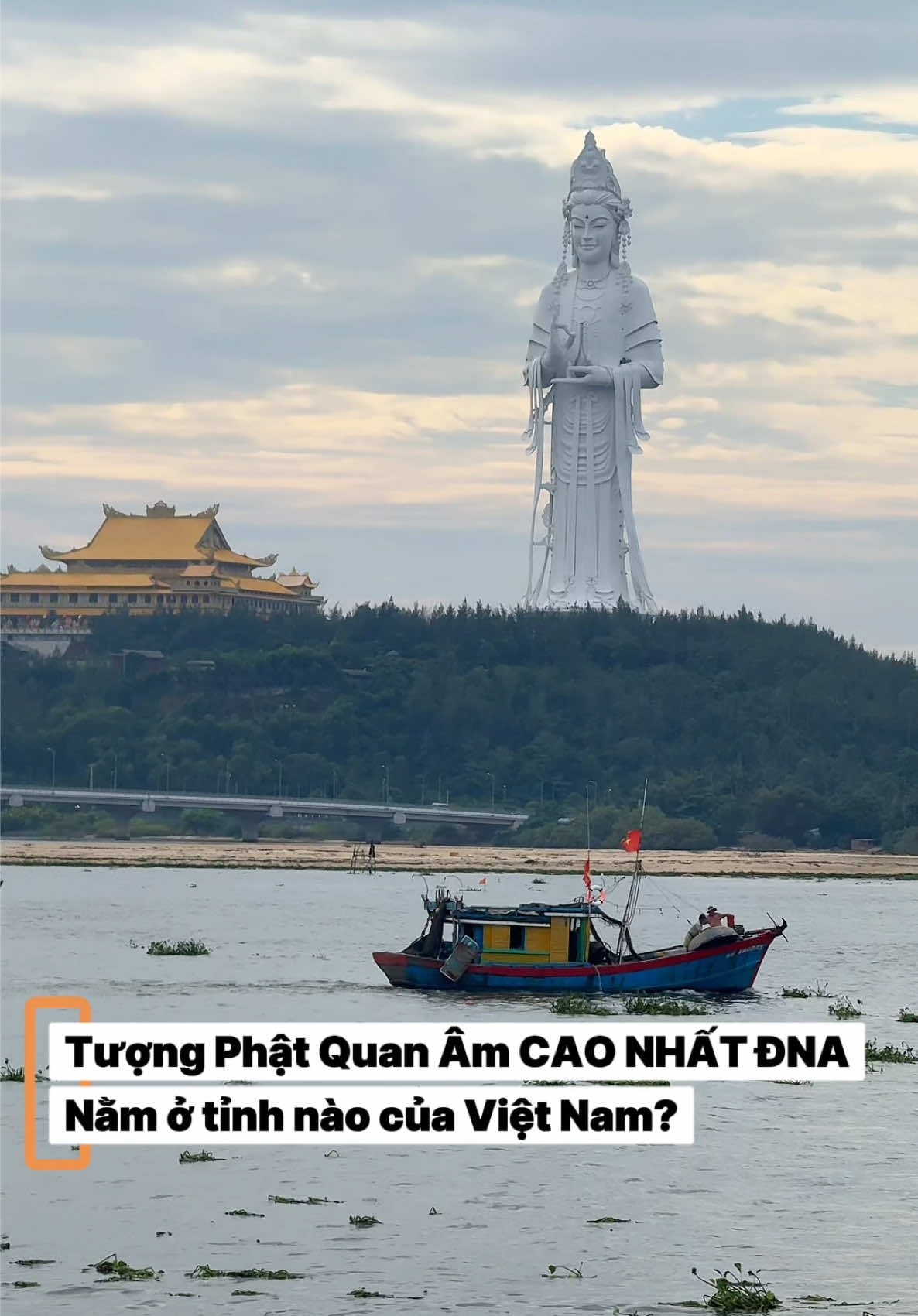 @Hoa Quỳnh
