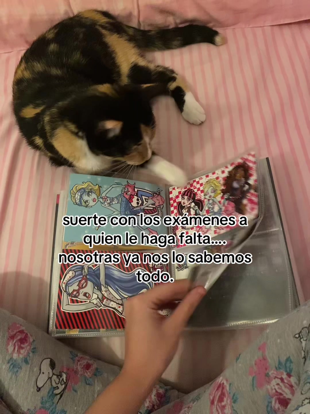 @karlaarboledas