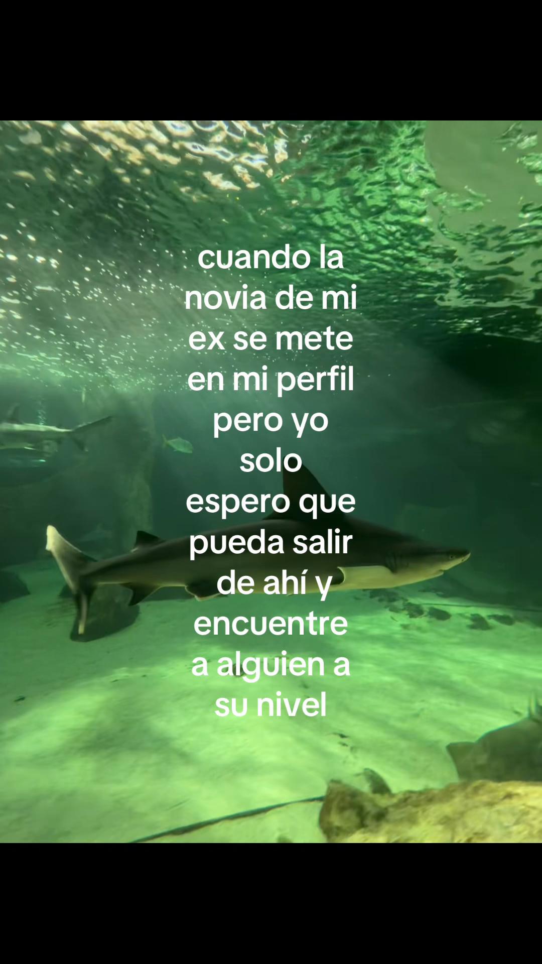 @jaccennavas👸🏻