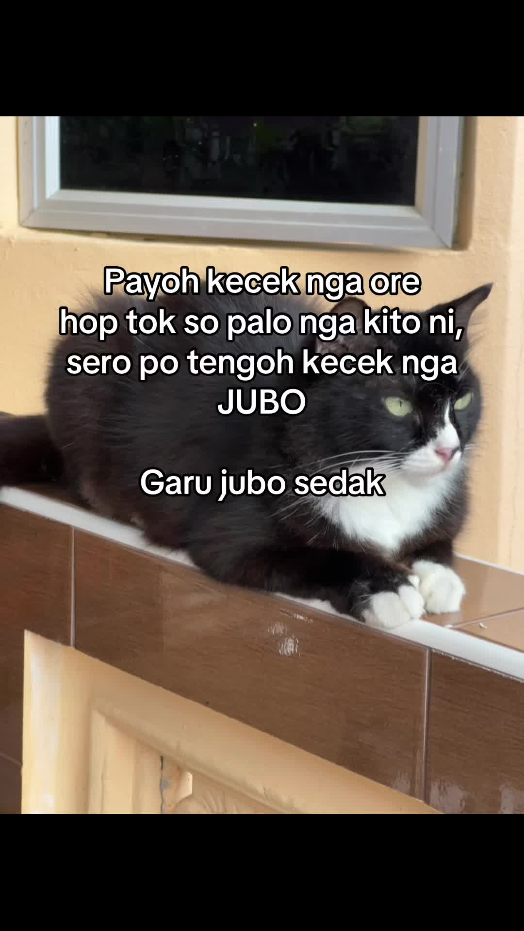 @ajiqq