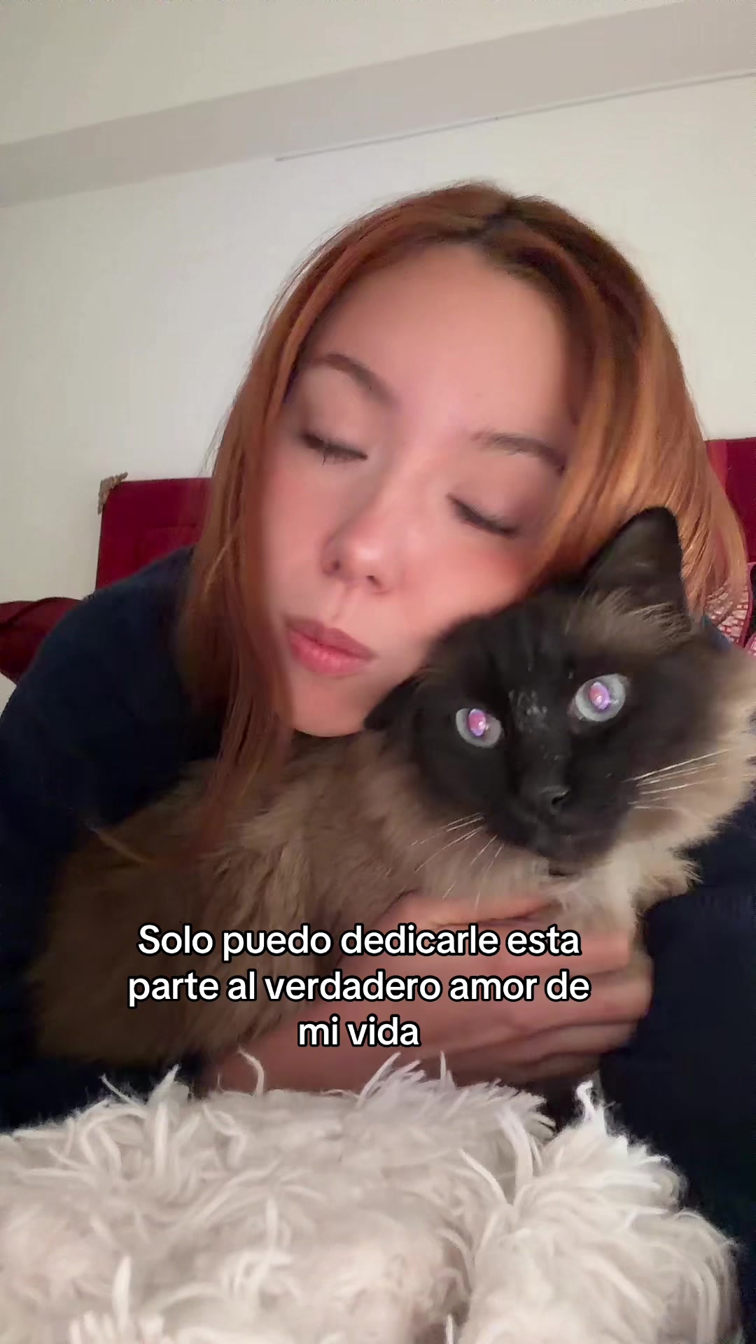 @arevelz