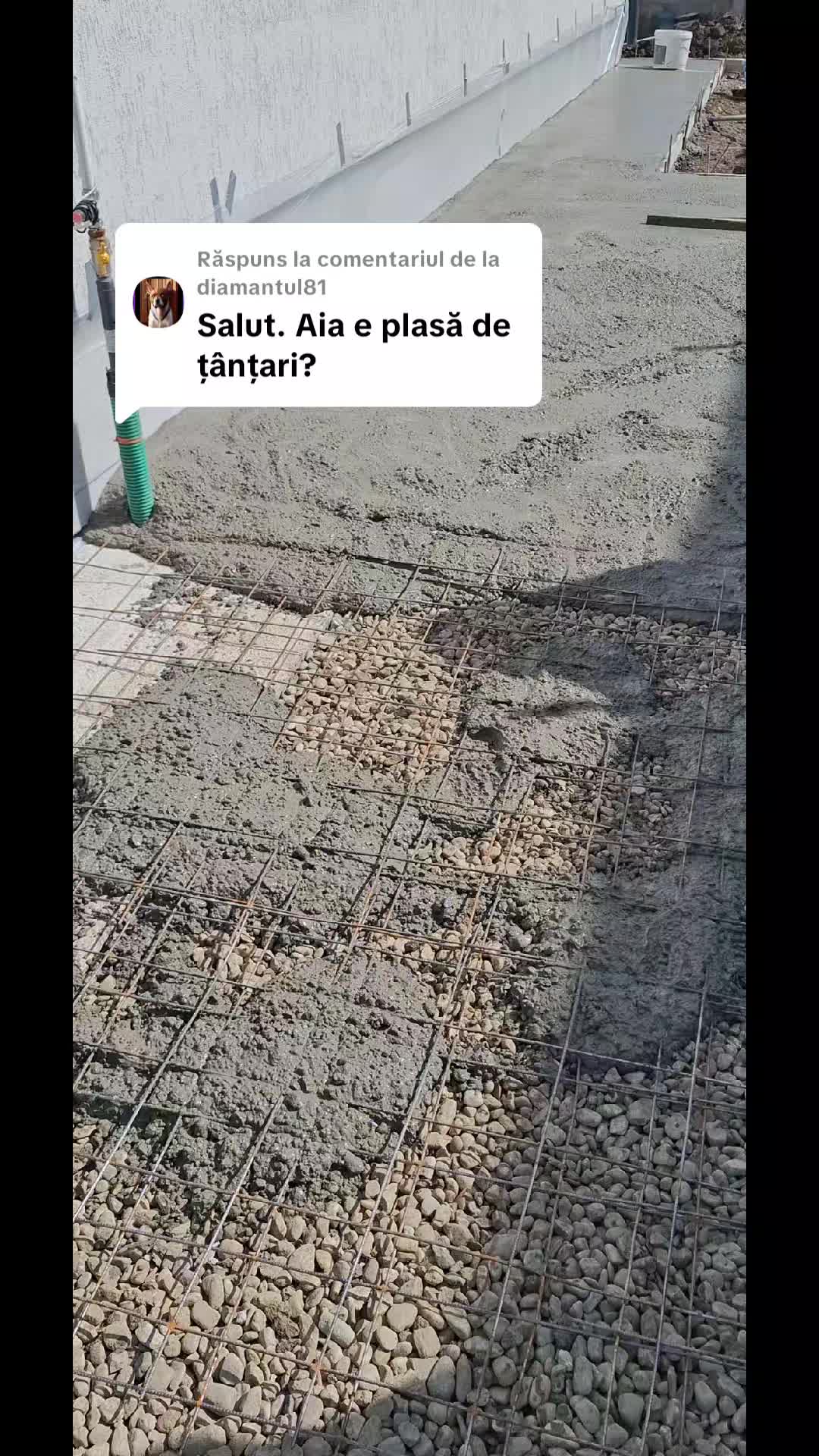 @beton amprentat official
