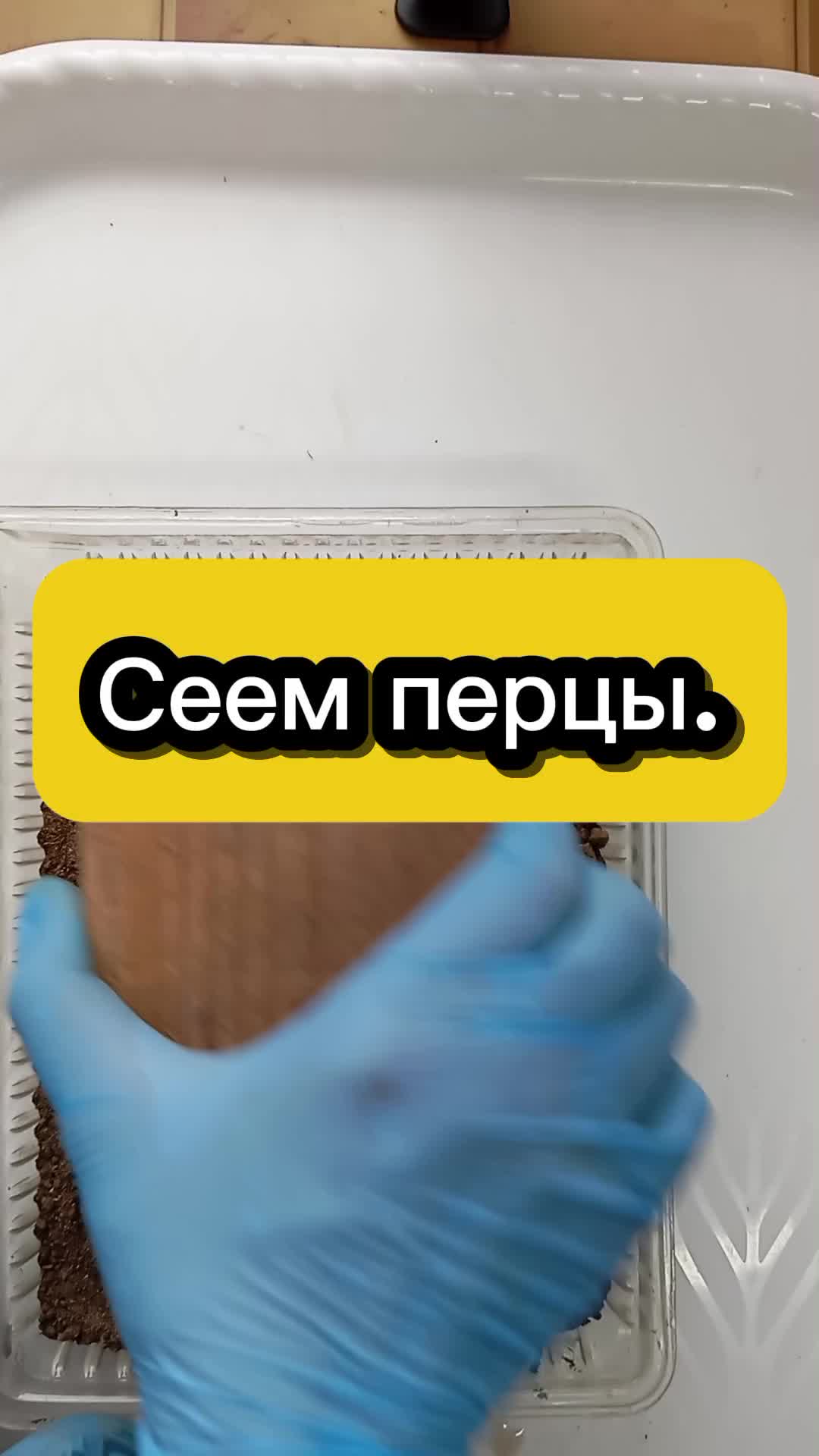 @Ogorodozigzag