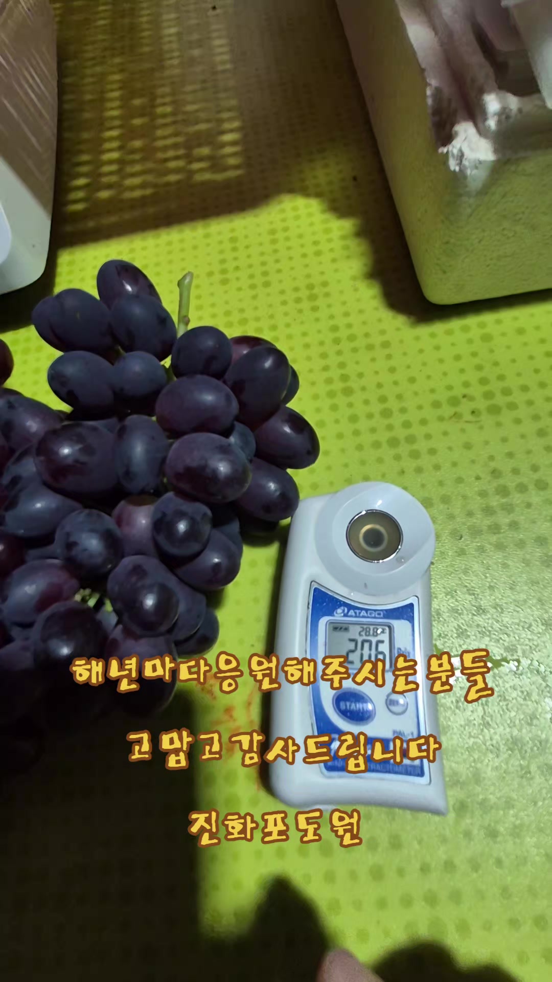 @진화포도원
