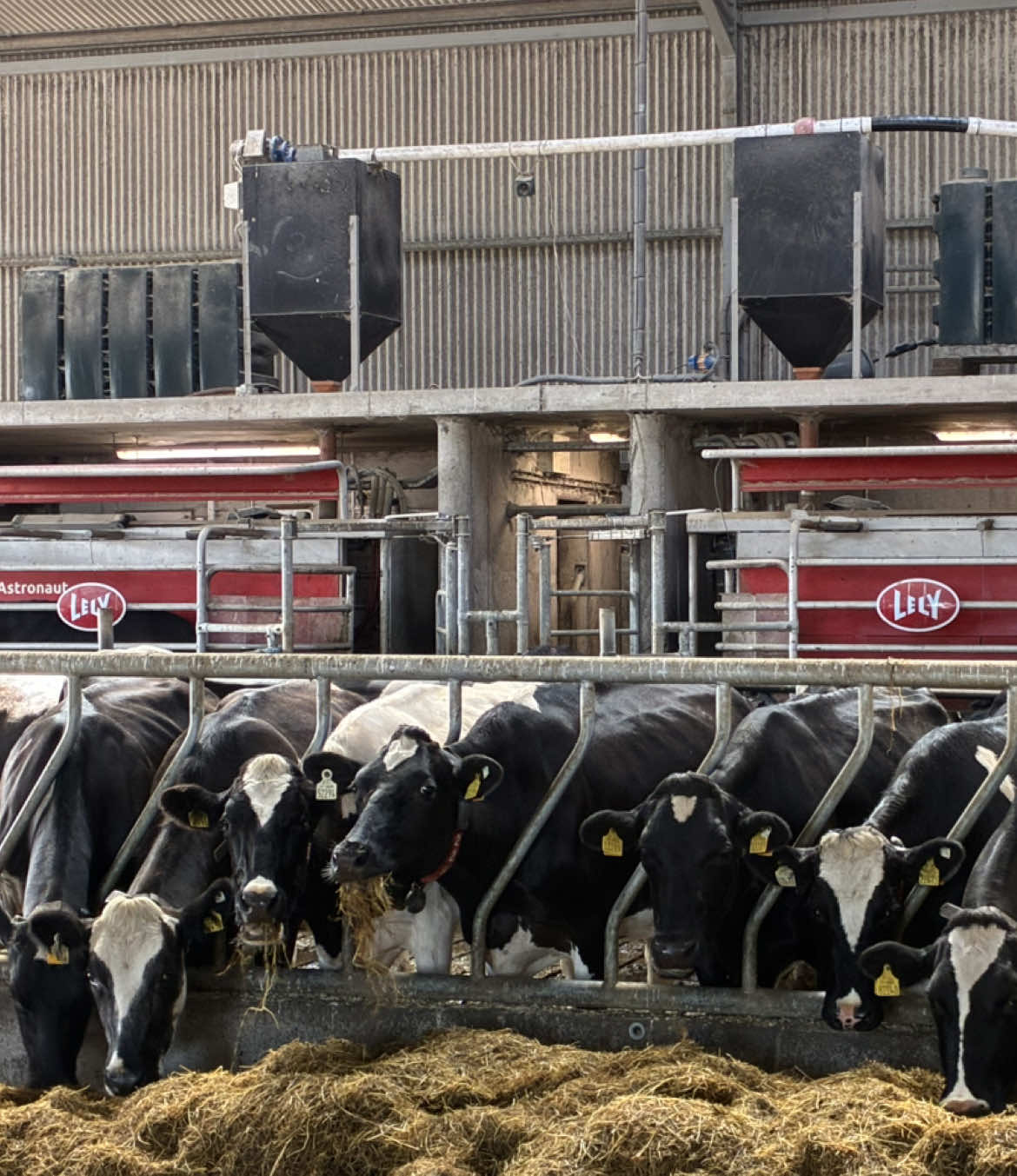 @Lely Center Mullingar