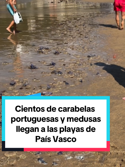 @El País