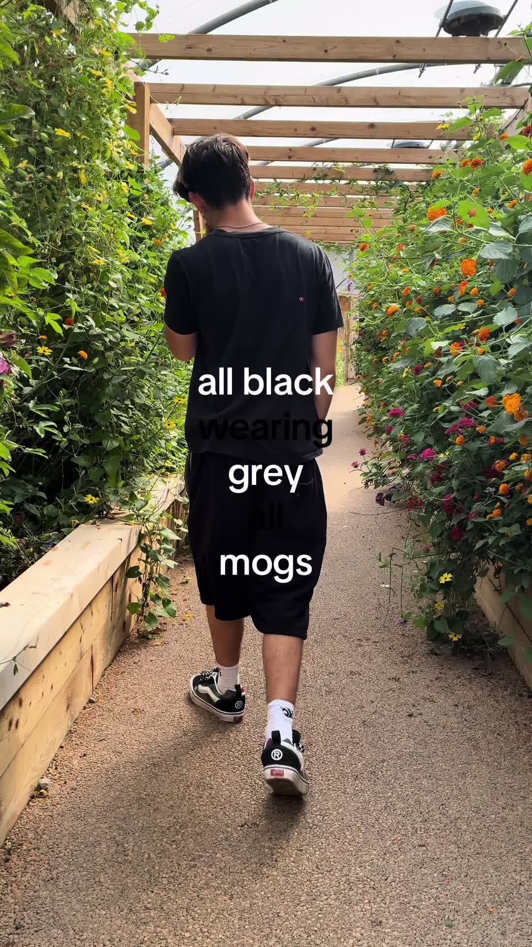 @noah