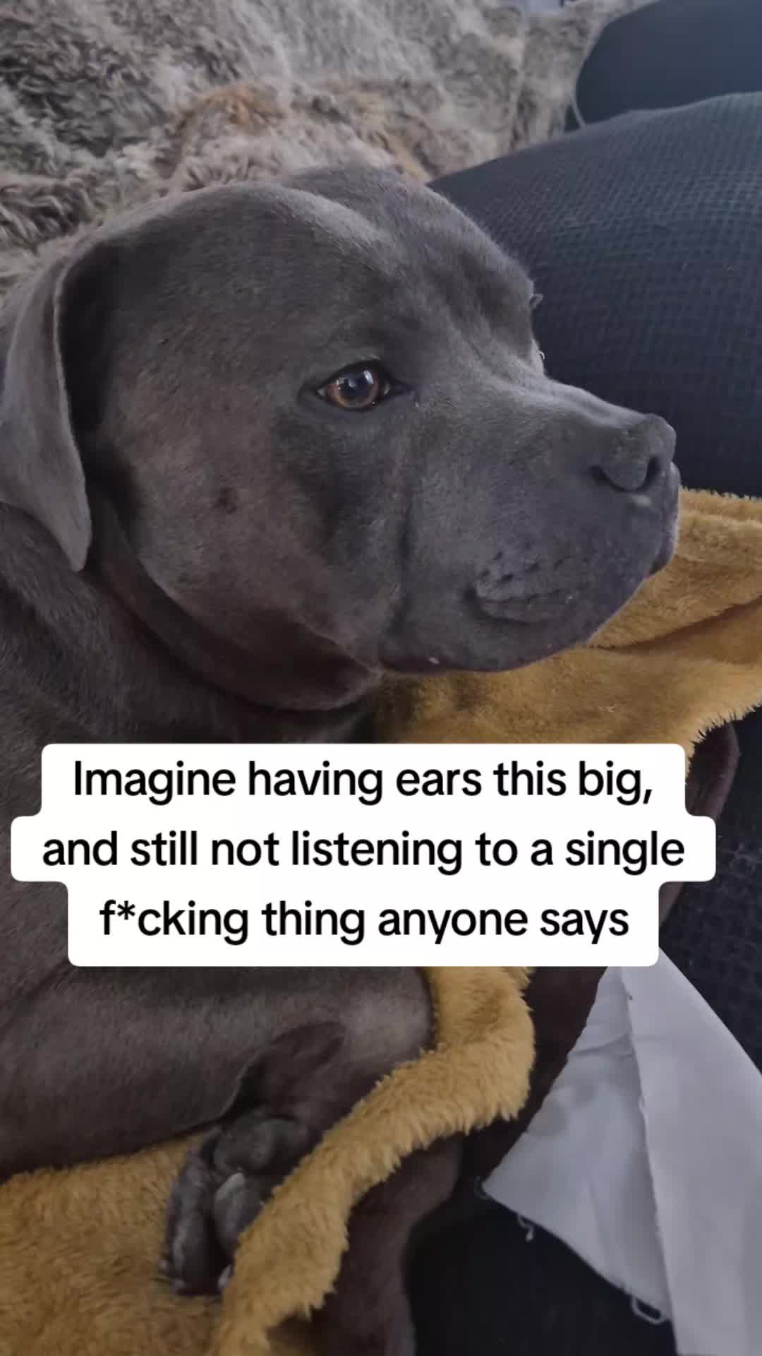 @Maximus Prime