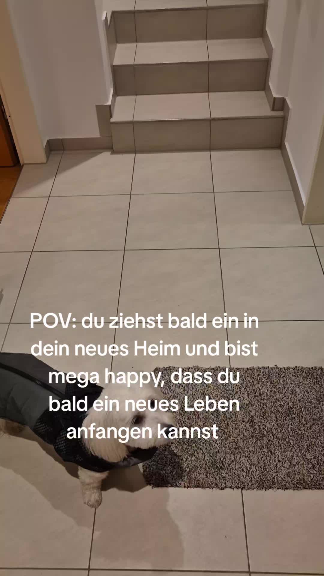@Alina✌