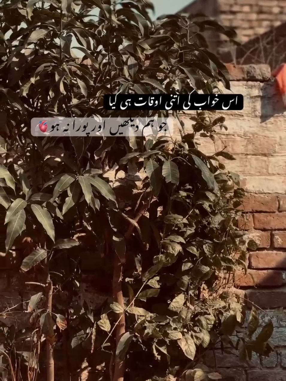 @خان 🪐