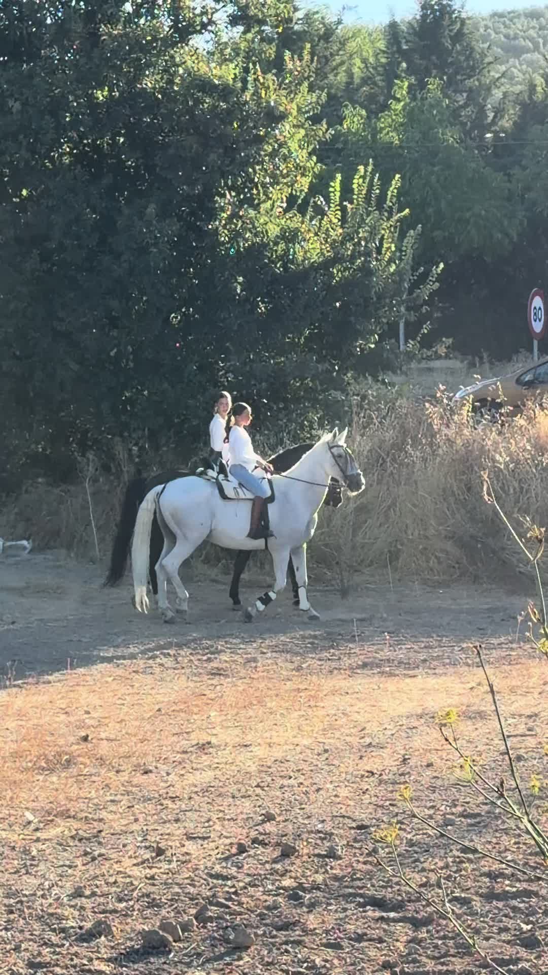 @Sandra Molina🐎🇪🇸