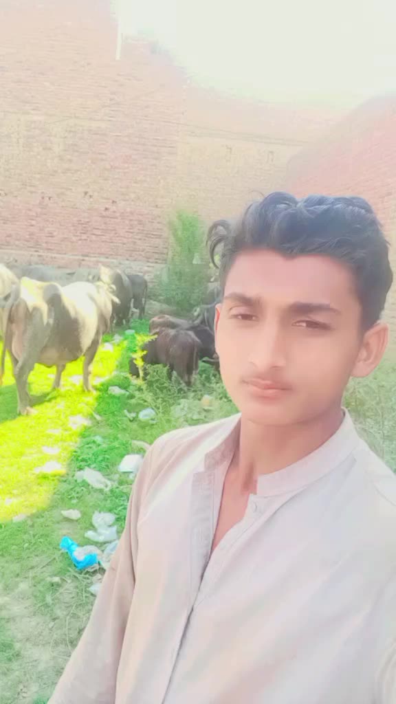 @Rana Ali