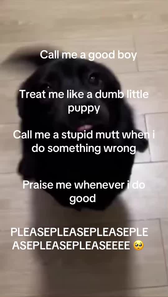 @fempuppything