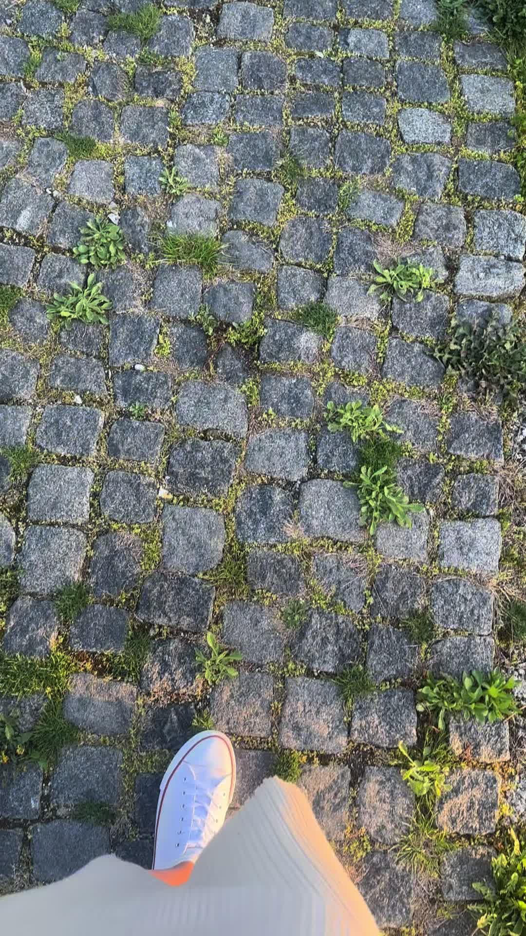 @ℳℯ𝓁𝒾𝓈𝓈𝒶_85