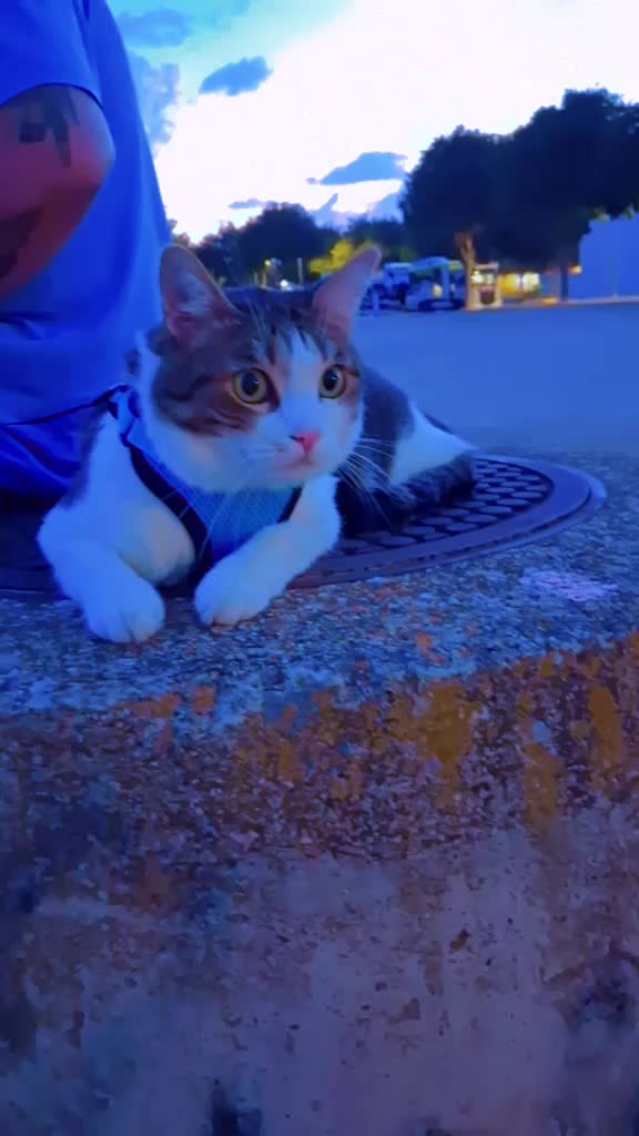 @Bel Alves
