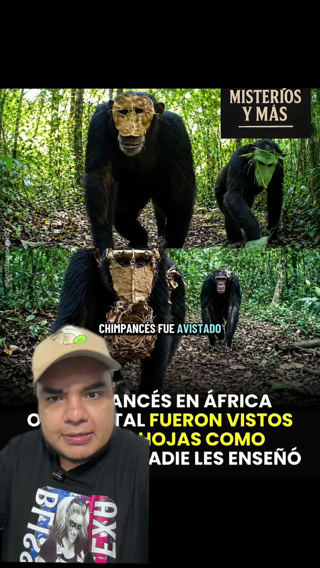 @Jair Herrera 🐆